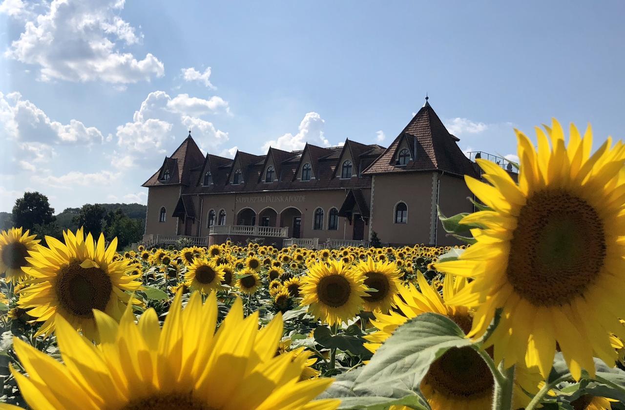 Sappusztai Vendeghaz Hotel Damak Екстериор снимка